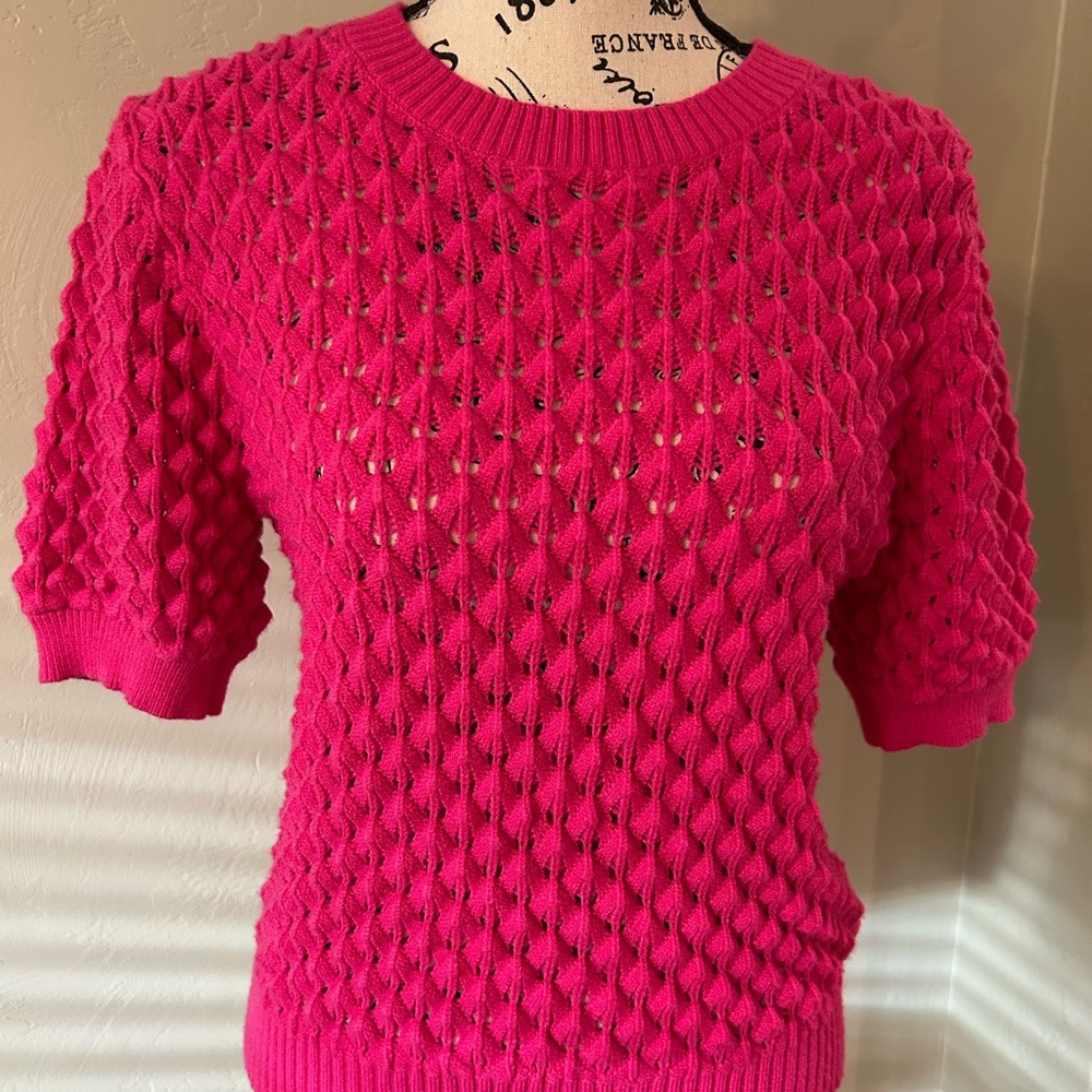 NWT Lucy Paris Textured Pink Crew Neck Sweater Size M